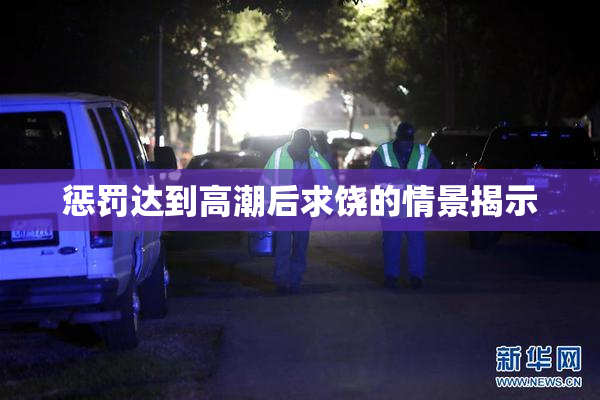 惩罚达到高潮后求饶的情景揭示