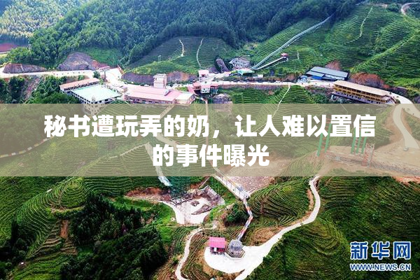 秘书遭玩弄的奶，让人难以置信的事件曝光