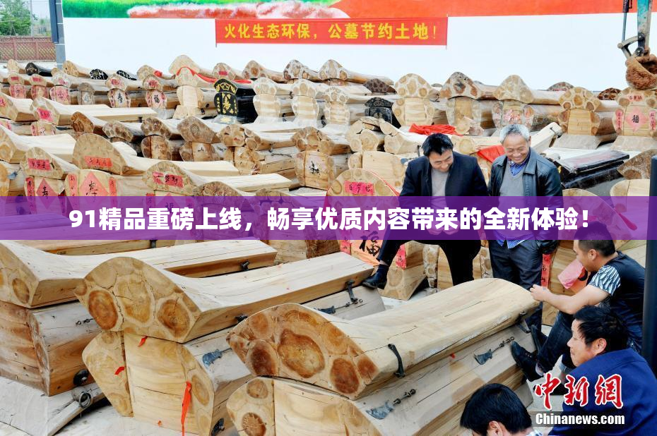91精品重磅上线，畅享优质内容带来的全新体验！