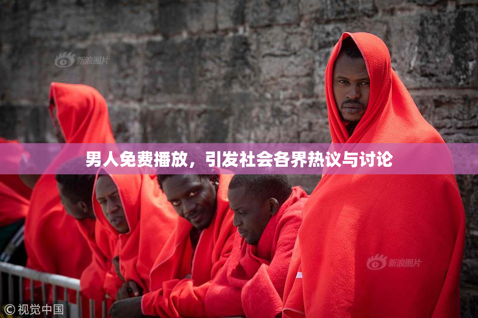 男人免费播放，引发社会各界热议与讨论
