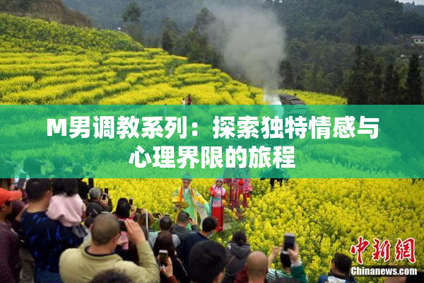 M男调教系列：探索独特情感与心理界限的旅程