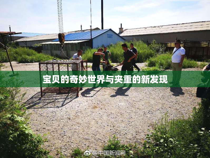 宝贝的奇妙世界与夹重的新发现