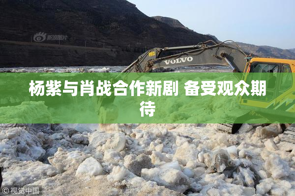 杨紫与肖战合作新剧 备受观众期待