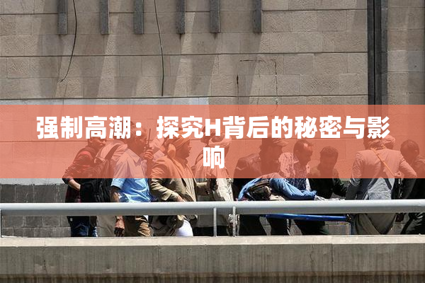 强制高潮：探究H背后的秘密与影响