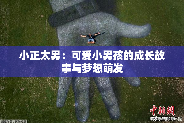 小正太男：可爱小男孩的成长故事与梦想萌发