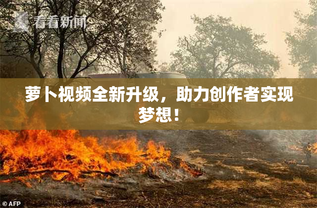 萝卜视频全新升级，助力创作者实现梦想！