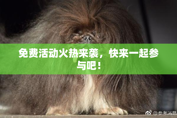 免费活动火热来袭，快来一起参与吧！