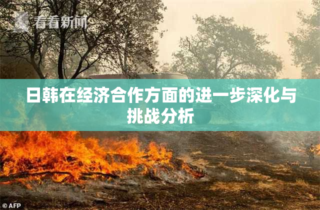日韩在经济合作方面的进一步深化与挑战分析