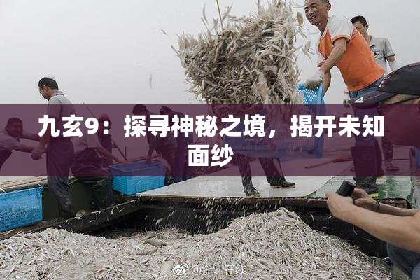 九玄9：探寻神秘之境，揭开未知面纱