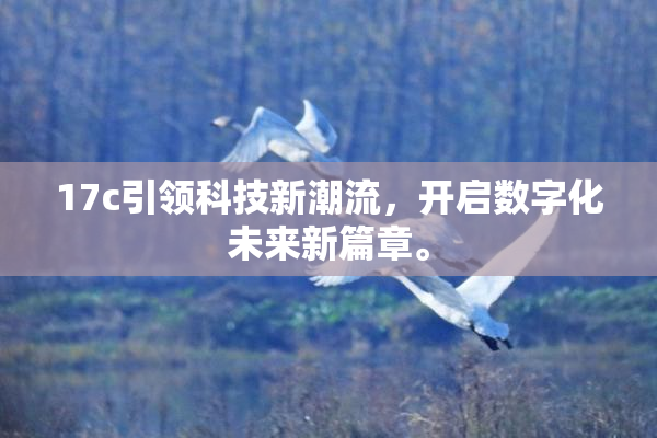 17c引领科技新潮流，开启数字化未来新篇章。