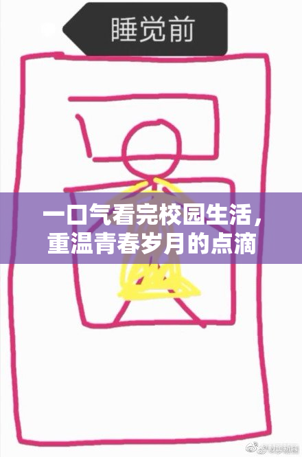 一口气看完校园生活，重温青春岁月的点滴