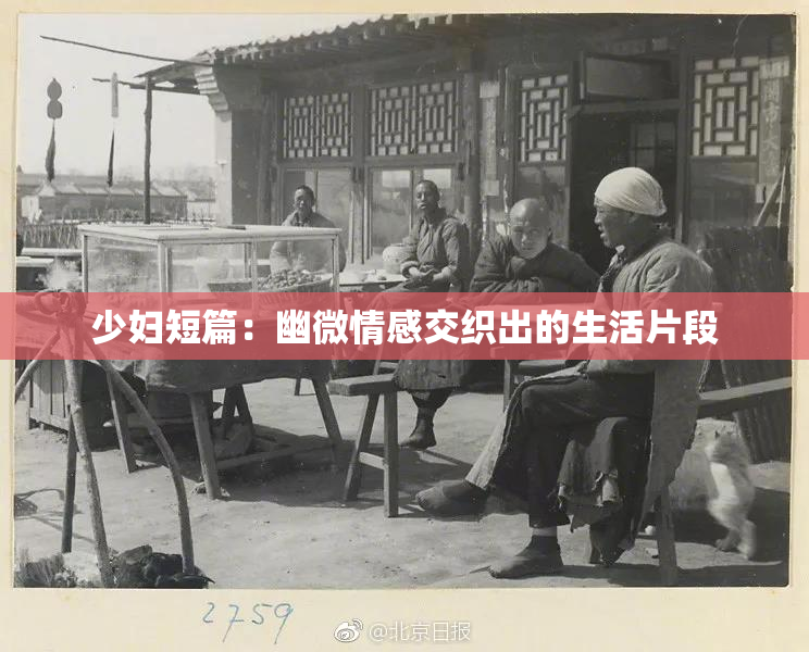 少妇短篇：幽微情感交织出的生活片段