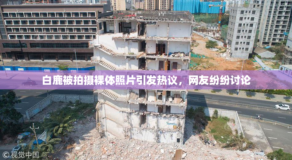 白鹿被拍摄裸体照片引发热议，网友纷纷讨论