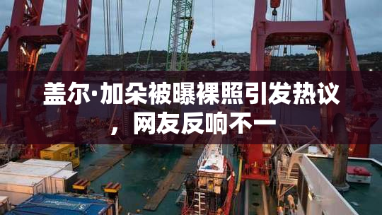 盖尔·加朵被曝裸照引发热议，网友反响不一