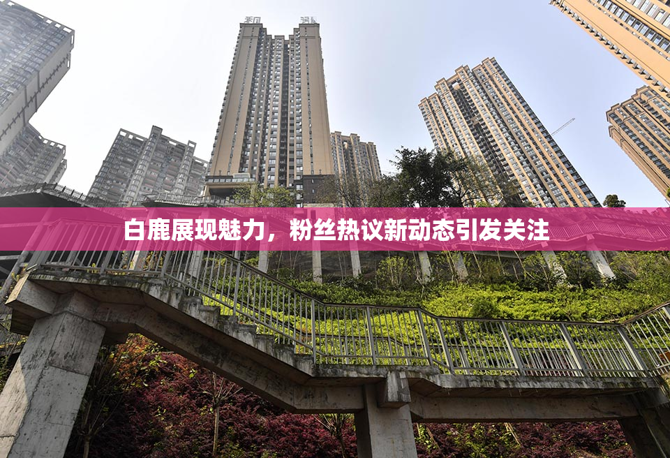 白鹿展现魅力，粉丝热议新动态引发关注