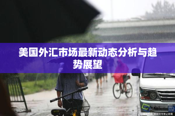美国外汇市场最新动态分析与趋势展望