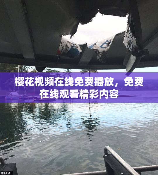 樱花视频在线免费播放，免费在线观看精彩内容