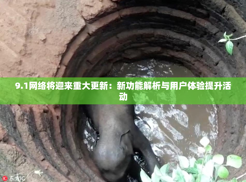 9.1网络将迎来重大更新：新功能解析与用户体验提升活动