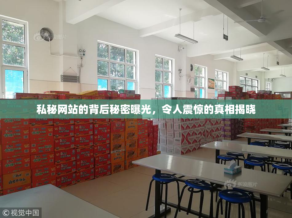 私秘网站的背后秘密曝光，令人震惊的真相揭晓