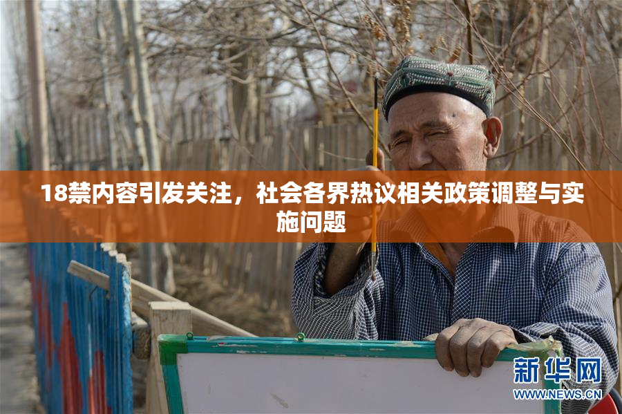 18禁内容引发关注，社会各界热议相关政策调整与实施问题