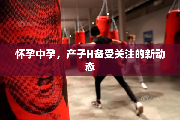 怀孕中孕，产子H备受关注的新动态