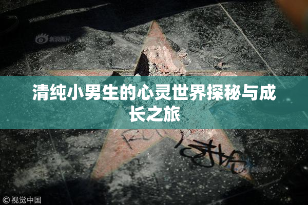 清纯小男生的心灵世界探秘与成长之旅