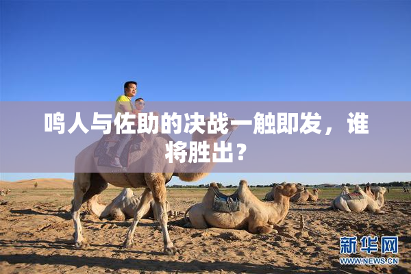 鸣人与佐助的决战一触即发，谁将胜出？