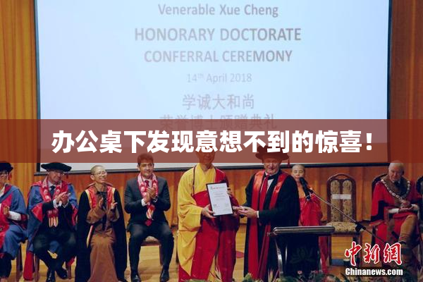办公桌下发现意想不到的惊喜！