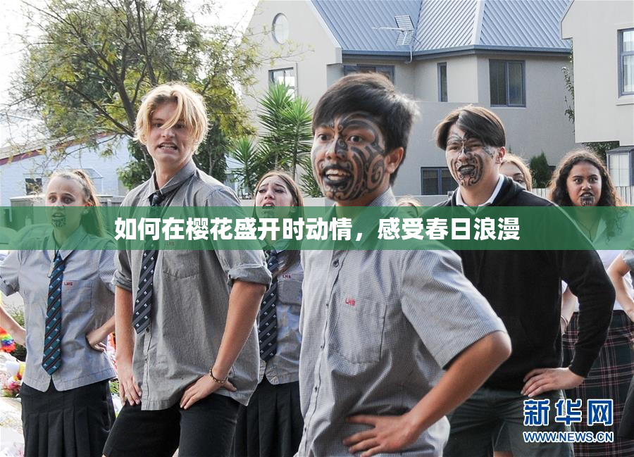 如何在樱花盛开时动情，感受春日浪漫