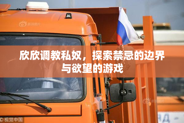 欣欣调教私奴，探索禁忌的边界与欲望的游戏