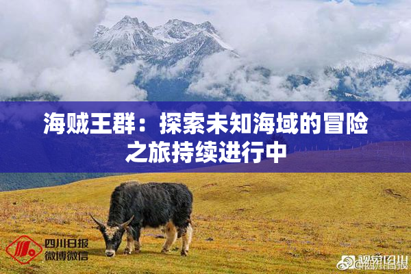 海贼王群：探索未知海域的冒险之旅持续进行中