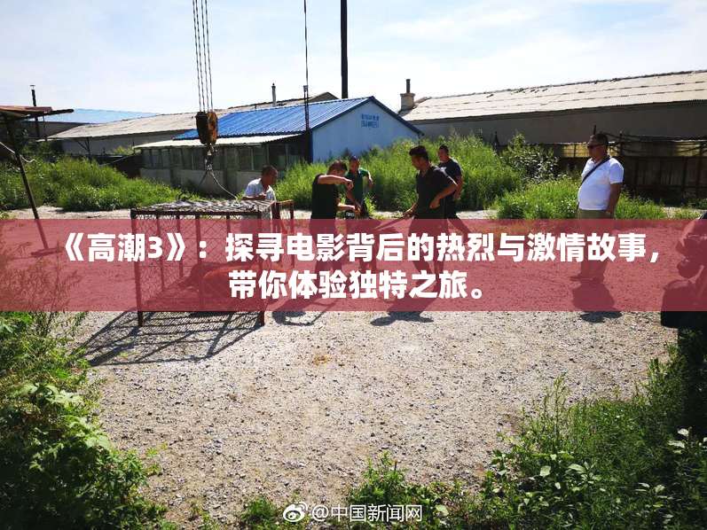 《高潮3》：探寻电影背后的热烈与激情故事，带你体验独特之旅。