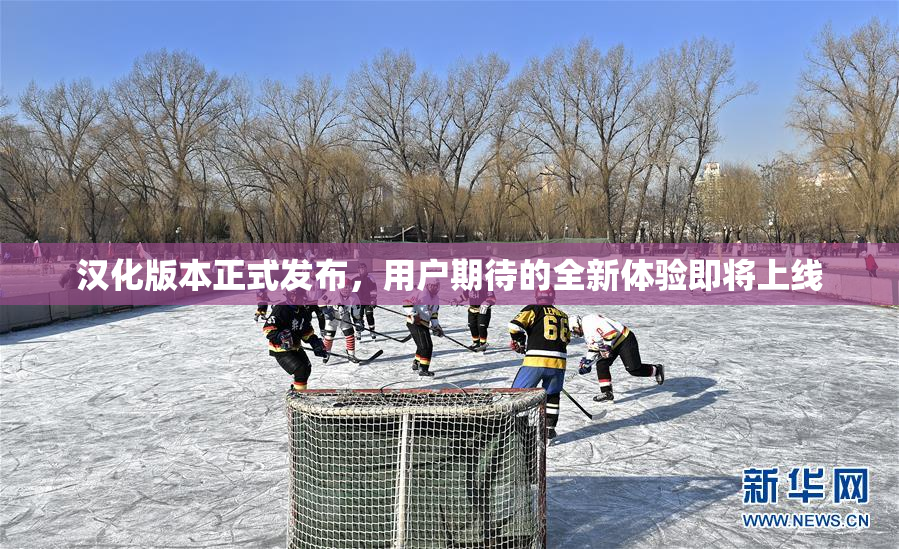 汉化版本正式发布，用户期待的全新体验即将上线