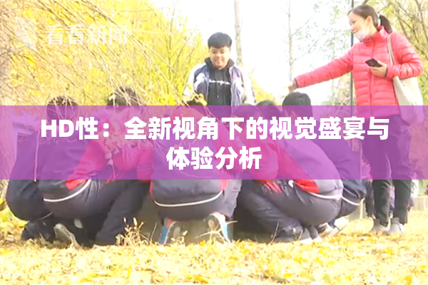 HD性：全新视角下的视觉盛宴与体验分析