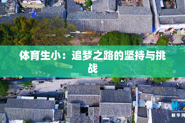 体育生小：追梦之路的坚持与挑战