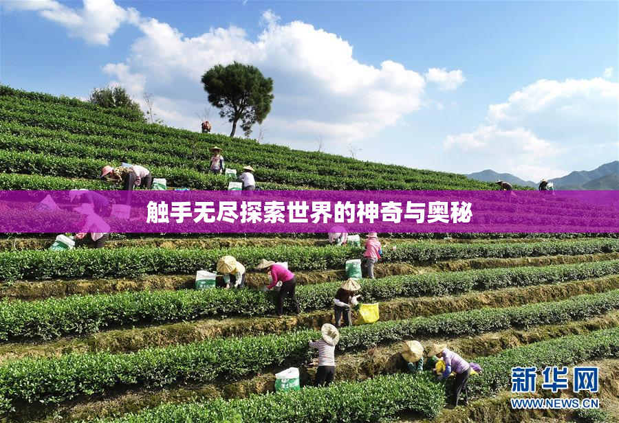 触手无尽探索世界的神奇与奥秘