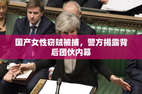 国产女性窃贼被捕，警方揭露背后团伙内幕