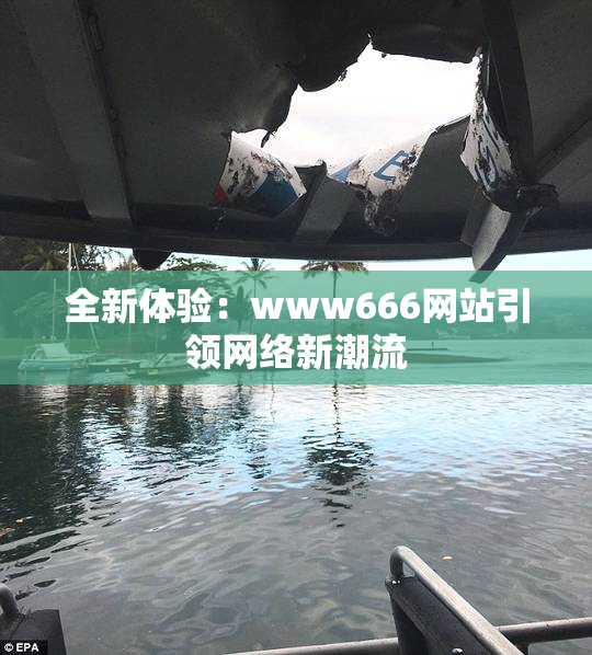 全新体验：www666网站引领网络新潮流