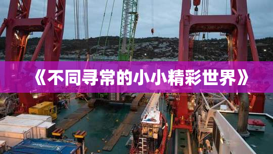 《不同寻常的小小精彩世界》