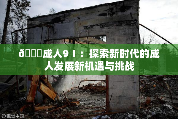 🔞成人9Ⅰ：探索新时代的成人发展新机遇与挑战
