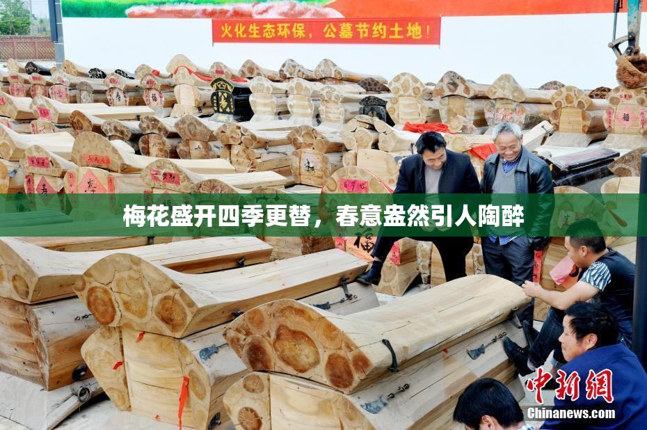 梅花盛开四季更替，春意盎然引人陶醉
