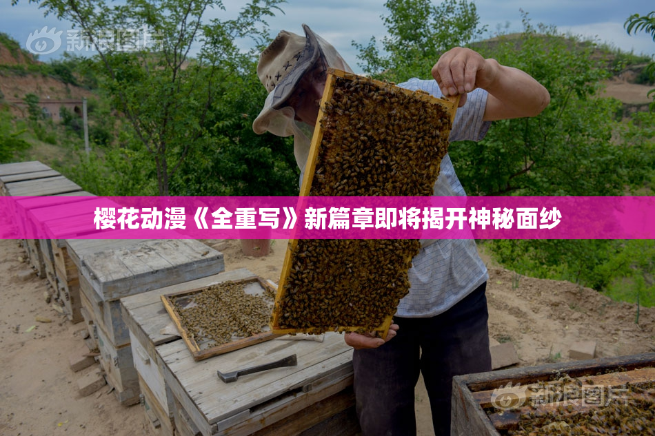 樱花动漫《全重写》新篇章即将揭开神秘面纱