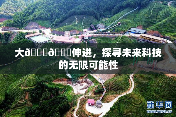 大🐔🐔伸进，探寻未来科技的无限可能性