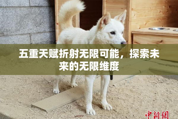 五重天赋折射无限可能，探索未来的无限维度