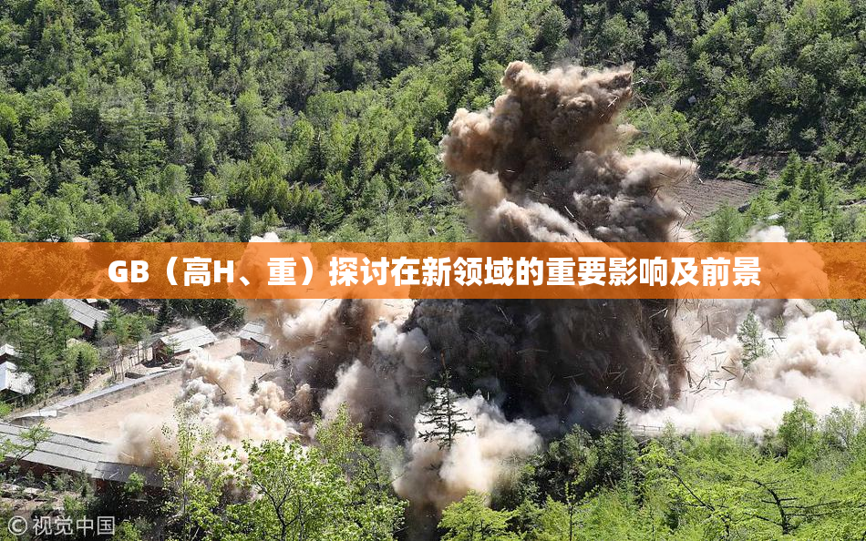 GB（高H、重）探讨在新领域的重要影响及前景