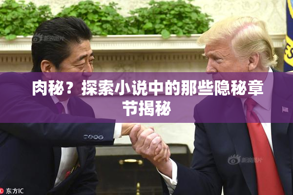 肉秘？探索小说中的那些隐秘章节揭秘