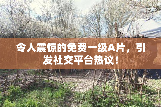 令人震惊的免费一级A片，引发社交平台热议！