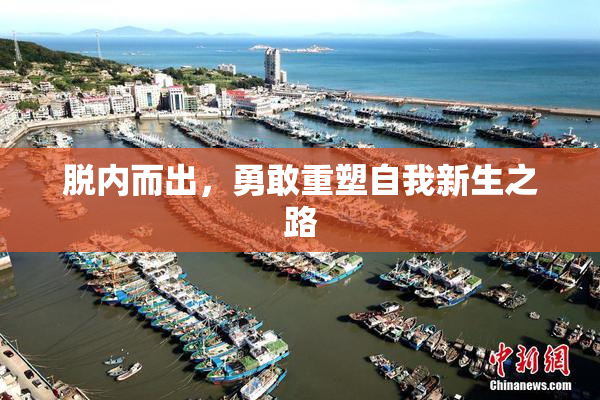 脱内而出，勇敢重塑自我新生之路