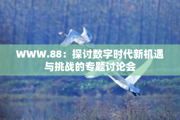 WWW.88：探讨数字时代新机遇与挑战的专题讨论会