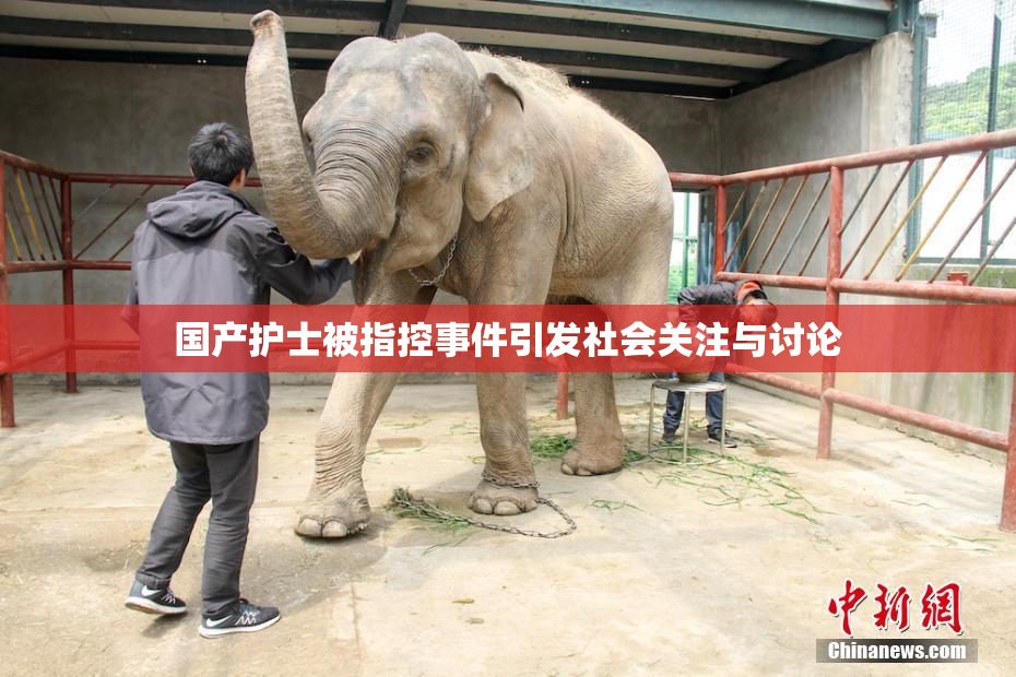 国产护士被指控事件引发社会关注与讨论